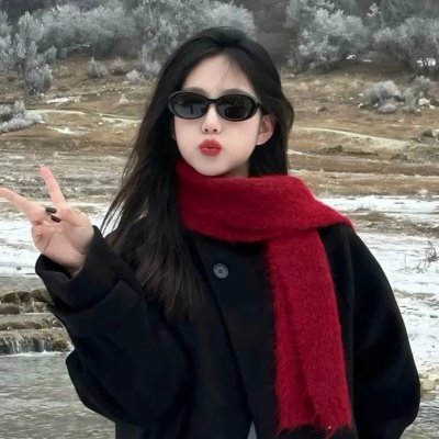 雪鹰领主 海报