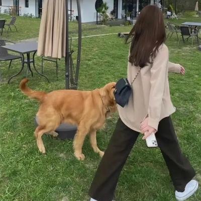 出发吧!短剧内蒙古篇 海报